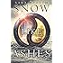 Snow Like Ashes (Snow Like Ashes Series)