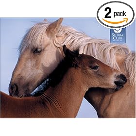 Pomegranate Sierra Club Wild Horses Standard Boxed Set, 20-Count (Pack of 2)