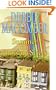 Summer on Blossom Street (Center Point Platinum Fiction (Large Print))