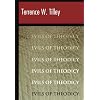 The Evils of Theodicy
