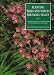 Book Planting Trees and Shrubs for Small Spaces: A Magnificent Selection of Dependable Plants for Year-Round Interest in the Garden