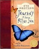 Journey to the River Sea
