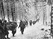 American soldiers on their tay to cut Off St. Vith Houffalize Road in Belgium, During WWII Photographic Poster Print by Richard A. Massenge, 16x12