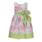 Circo Green Floral Schiffley Easter Dress - 2T