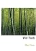 Books : Wild Youth (Large Print Edition)