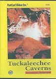 Tuckaleechee Caverns