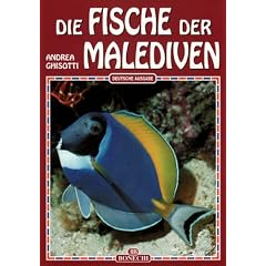 Die Fische der Malediven
