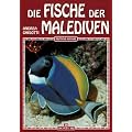 Die Fische der Malediven