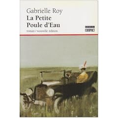 La petite poule d'eau