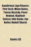 Gambrinus Liga Players: Petr Cech, Milan Baros, Tomás Rosický, Pavel Nedved, Vladimír Smicer, Edin Dzeko, Jan Koller, Rudolf Skácel