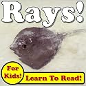 Rays! Learn About Rays While Learning To Read - Rays Photos And Facts Make It Easy! (Over 45+ Photos of Rays)