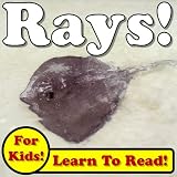 Rays! Learn About Rays While Learning To Read - Rays Photos And Facts Make It Easy! (Over 45+ Photos of Rays)
