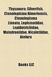 Thysanura: Silverfish, Ctenolepisma Alme