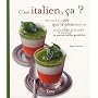 C'est italien, �a ? : Parce qu'il n'y a pas que la pizza dans la vita : recettes chic pour oublier la sauce bolo et autres vieilles gondoles