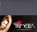 Jersey - Spannbetttuch, Spannbettlaken "PRIMERA" / Material: Jersey aus 100% Baumwolle -- 510g / Farbe: 890 - anthrazit / passend f&uuml;r: 180 x 200 cm - 200 x 200 cm