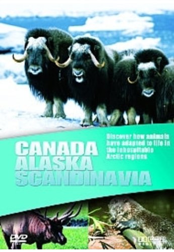 WILDLIFE : CANANDA ALASKA SCAN