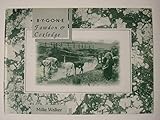 Bygone Fawdon & Coxlodge