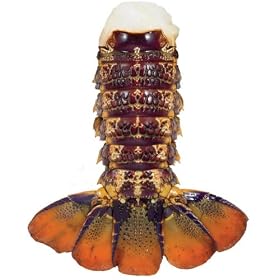 20-24 oz New Zealand Lobster Tails
