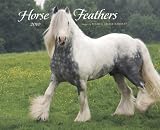 Horse Feathers 2010 Calendar