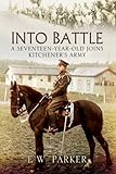 Into battle : 1914-1918