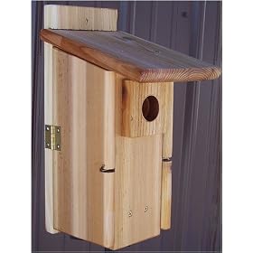 Stovall Wood Ultimate Bluebird House With Window by 