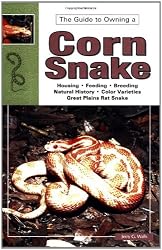 Corn and Red Rat Snakes (Guide to Owning A...)