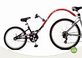 Allycat Bicycle Trailer, by InStep