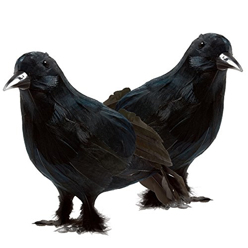 Prextex Realistic Looking Halloween Decoration Birds Black Feathered Crows Halloween Prop DÃ©cor (2-pack)