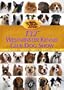 132nd Westminster Kennel Club Dog Show (2 DVD set)