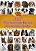 beagle12 - 132nd Westminster Kennel Club Dog Show 2 DVD