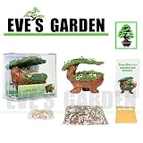 51N 3s WF4L. SL160  Bonsai Babyland   Black Pine Kit. Grow Bonsai Trees from seed with this exclusive and unique Bonsai Babyland planter.