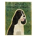 English Springer Spaniel (black and white) framed print - John Golden 12x15