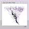 IMHO Some of the best progressive rock of the last 40 years