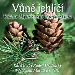 Vesel� V�noce