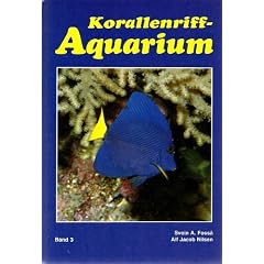 Korallenriff - Aquarium 3