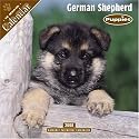 German Shepherd Puppies 2008 Wall Calendar