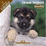 German Shepherd Puppies 2008 Wall Calendar