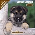 German Shepherd Puppies 2008 Wall Calendar