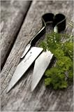 Mini Herb Shears