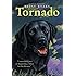Tornado (Trophy Chapter Books)