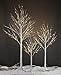 LIGHTSHARE Lighted Tree 4FT 48 LED Lighted Birch Tree for Decoration Inside and Outside, Home Patio Wedding Festival Christmas Decor, Warm White