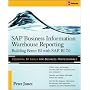 SAP Business Information Warehouse Reporting