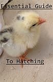 Essential Guide To Hatching Chicks, Ducklings and other household birds
