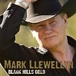 Black Hills Gold