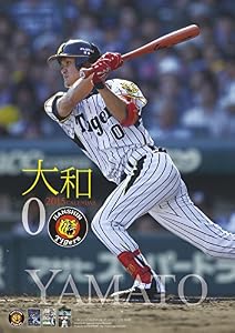 大和(阪神タイガース)