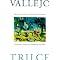 Read Great Non-Magic Realist Latin American Literature