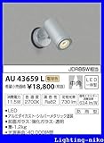 コイズミ照明　アウトドアライト【AU43659L】