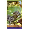 Nature's Newborn: Crocodile - Leopard - Ground Squirrel... by 