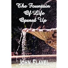 Fountain of life opened up or, A display of Christ in his essential and mediatorial glory)