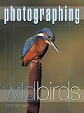 Photographing Wild Birds